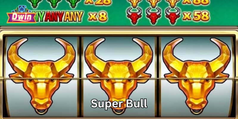 Super Bull hoạt động ra sao?